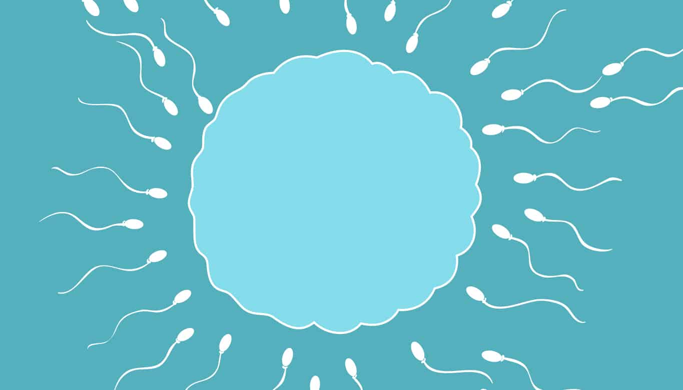 Estilo de Vida e Fertilidade: o que fazer e o que evitar
