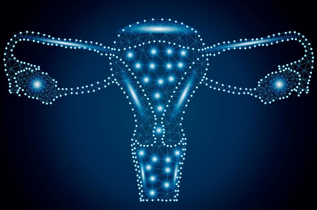 Infertilidade e suas causas: O Fator Uterino